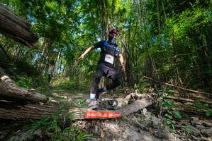 BIB: 
                            <button type="button" onclick="openModal(19388689)" class="btn btn-primary btn-sm float-right btn-popup" data-toggle="modal" data-target=".modal-high-quality">
                        <i class="fas fa-shopping-cart"></i> Add to Cart
                    </button>
                                            <button type="button" onclick="isThisMe(19388689, true)" class="btn btn-success btn-sm float-right btn-popup btn-isme hidden" data-toggle="tooltip" data-placement="bottom" title="นี่คือรูปของคุณใช่ไหม คลิกที่นี่เพื่อเอาเข้าอัลบั้ม">
                        <i class="fas fa-plus"></i> Add to album
                    </button>
                    <button type="button" onclick="isThisMe(19388689, false)" class="btn btn-warning btn-sm float-right btn-popup btn-isnotme hidden">
                        <i class="fas fa-ban"></i> Remove from album
                    </button>